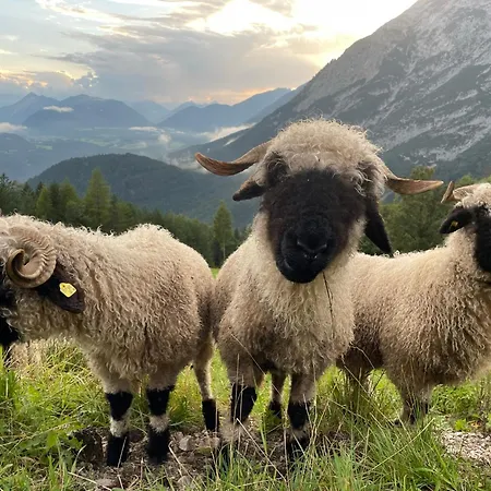 Antoni Apartements * Seefeld w Tirolu